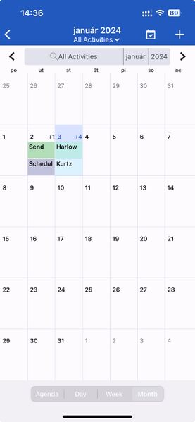 File:CalendarMonthView.jpeg