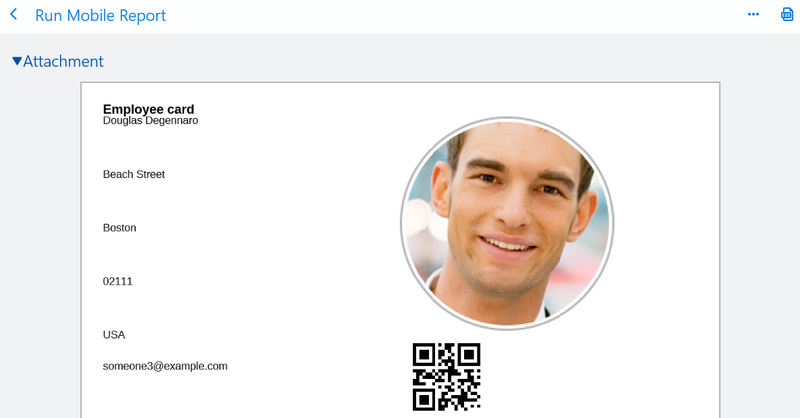 File:Mobile report with qr.png