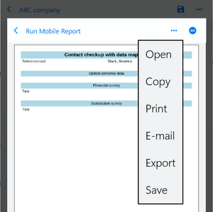 Commands on the report form