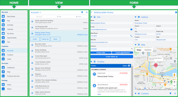 home, view, and form in Resco Mobile CRM