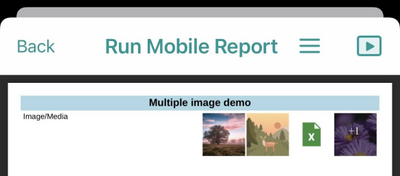 Images/Media displayed as a thumbnail in the mobile report