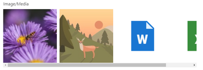 Images/Media displayed as a galery in the result viewer