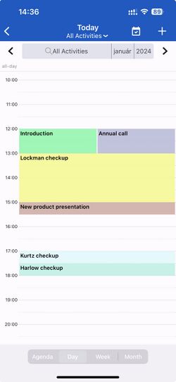 Day view on the Calendar