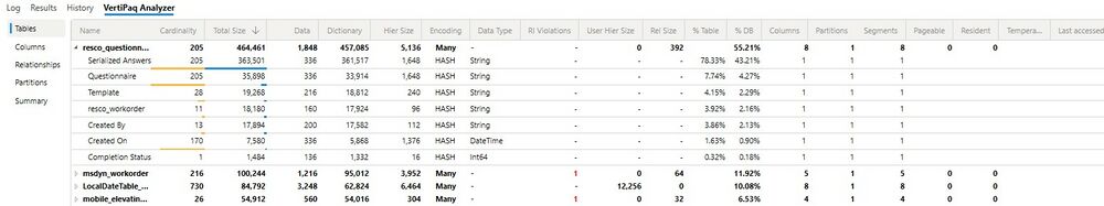 Questionnaire visualization in Power BI: DAXStudio overview of used data