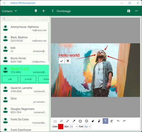 Crop or edit images in forms:Form image editor in action